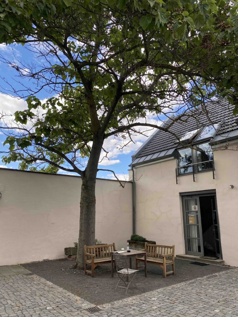 Baum im Hof des Künstlerhauses Edenkoben